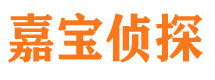 福海市侦探公司